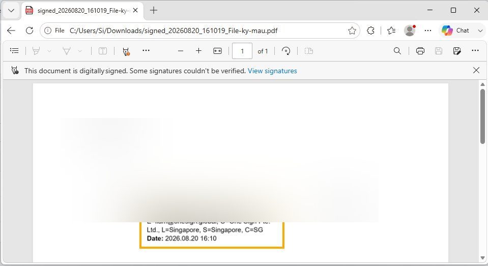 Downloaded PDF opened in a viewer showing the applied digital signature