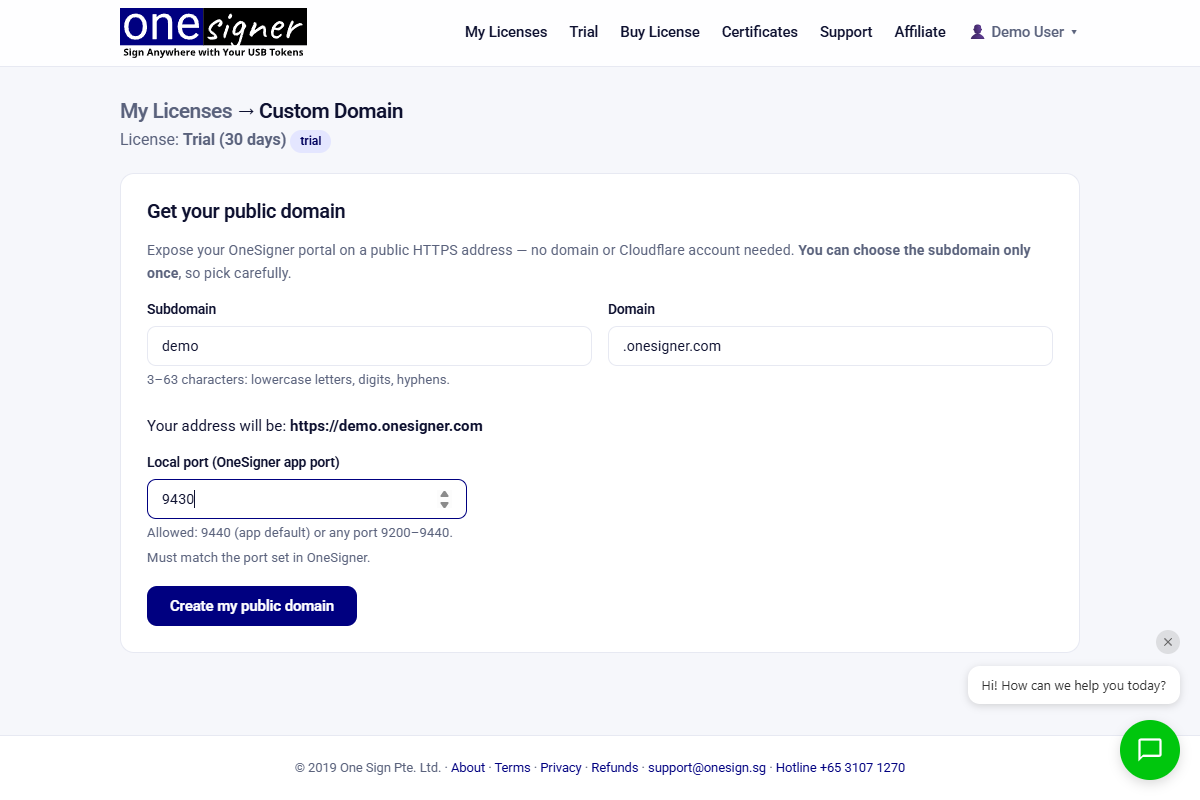 Custom Domain form filled with subdomain demo and local port 9430