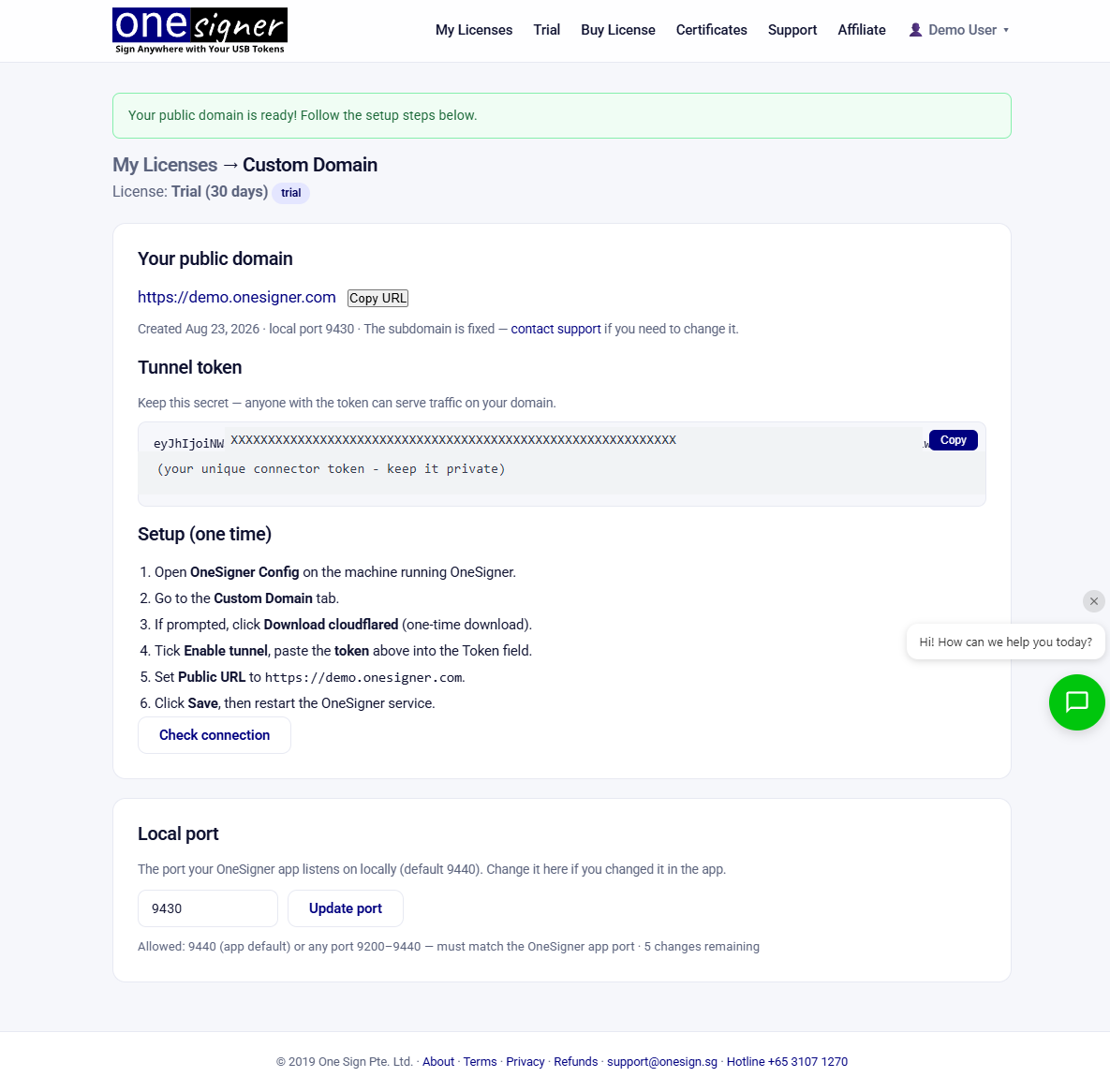 Custom Domain page after creation — public domain ready, tunnel token issued, one-time setup steps