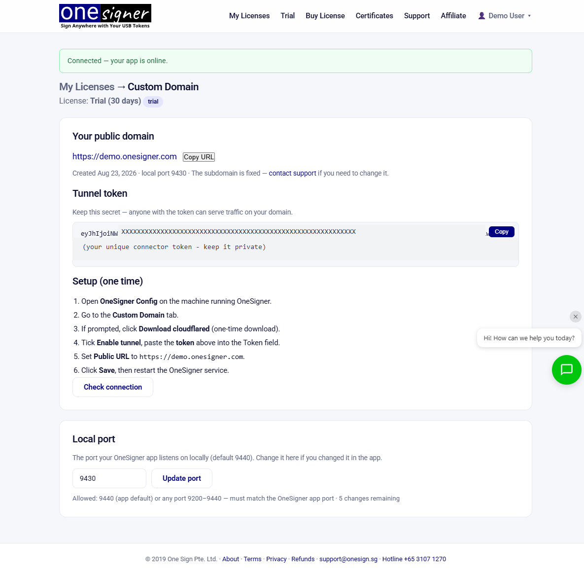 Portal Custom Domain page showing Connected — your app is online